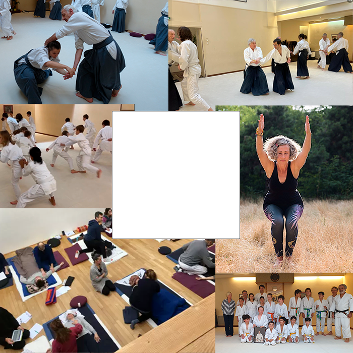 Goryu Dojo - Arts martiaux - Yoga - Kinomichi - Shiatsu - à Paris